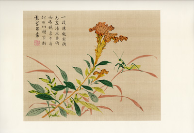1957 Penn Chinese Flowers Mustard Seed Garden vintage Japanese, Chinese, Asian-themed print